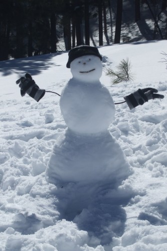 snowman-558830_1280