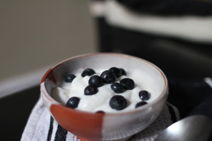 yogurt-763372_1920