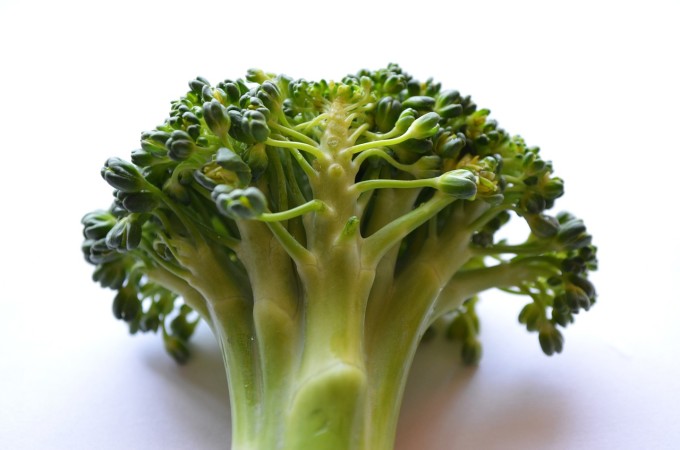 broccoli-390207_1280