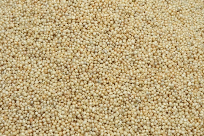 freshwater-pearls-1044828_1920