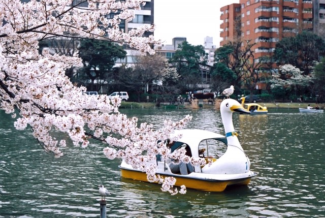 上野公園のおすすめランチ10選 お花見もできちゃう Comolib Magazine