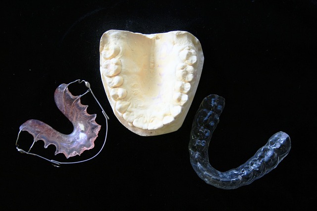 orthodontic-315784_640