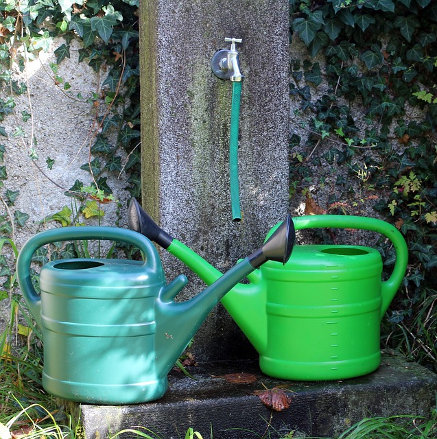 watering-cans-494403_640