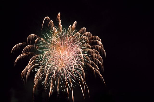 fireworks-683044_640