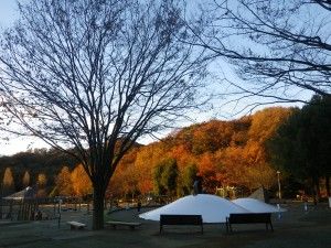 群馬の子供向け遊び場&観光スポット30選!子連れお出かけに最適なイベント開催施設も | 子連れのおでかけ・子どもの遊び場探しならコモリブ