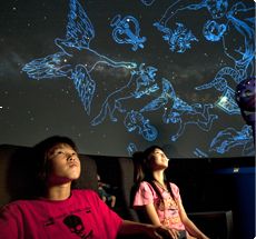 千葉の子供向け遊び場30選!室内アスレチックやおでかけに最適な子連れイベント開催施設も | 子連れのおでかけ・子どもの遊び場探しならコモリブ
