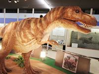 京都の子供に人気の室内遊び場20選。雨の日も屋内で遊べる場所や赤ちゃんとのお出かけにも | 子連れのおでかけ・子どもの遊び場探しならコモリブ