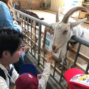奈良の子連れで楽しむ遊び場&観光35選!お出かけに最適な公園から子供向けイベント開催も | 子連れのおでかけ・子どもの遊び場探しならコモリブ