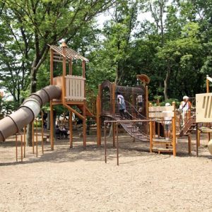 関東の子供と楽しむアスレチック公園&遊び場40選!無料施設やお出かけに最適な大型公園も | 子連れのおでかけ・子どもの遊び場探しならコモリブ